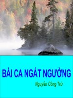 bài ca ngất ngưởng