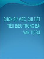 chọn sự việc chi tiết tiêu biểu
