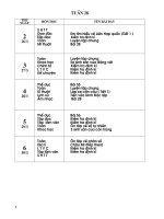 Tuần 28 lớp 5 SN