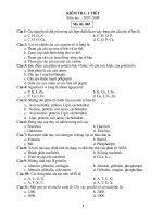 de kiem tra 1 tiet sh 10