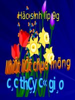 bài giảng tham khảo tập huấn