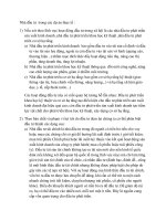 Nhà đầu tư  trong các dự án thực tếx 