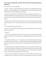 Đường lối tuần 2