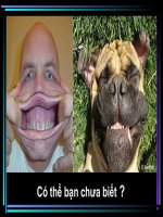 KHÔNG CƯỜI MỚI LẠ