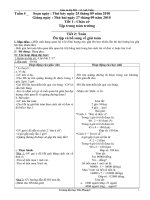 tuần 4-5 lớp 5B1