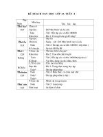 Mẫu kế hoạch dạy  học