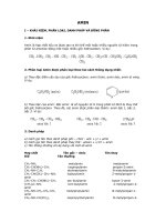 Amin - Lý  thuyết