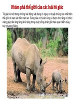 Kham pha the gioi cua loai te giac