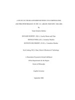 A STUDY OF THE RELATIONSHIP BETWEEN CEO COMPENSATION AND FIRM PERFORMANCE IN THE US AIRLINE INDUSTRY 2002 2006 
