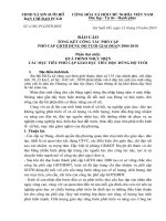 Báo cáo tổng kết PCGDTH-ĐĐT(Được)