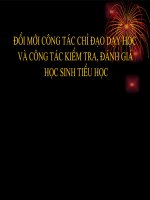 TAP HUAN HIEU TRUONG TIEU HOC - 5-8-2009