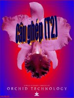 Tiết2:Câu ghép