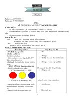 Giáo án Mĩ thuật HKI (có hình)