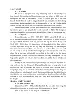 SKKN Tiếng việt cấp 1