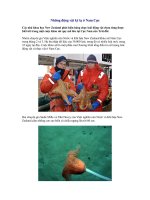 Những động vật kỳ lạ ở Nam Cực