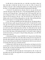 bài phát biểu về công tác Bồi dương học sinh giỏi môn Toán THCS