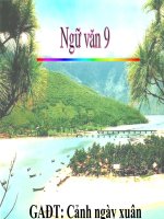 Cảnh ngày xuân-Nguyễn Du