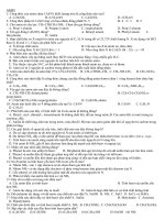 Chuyen de Amin-muoi diazoni hot