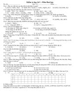 dề kiểm tra hoa 11