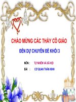 Cơ quan thần kinh (lớp 3)