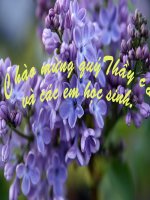 Số phận một con người.