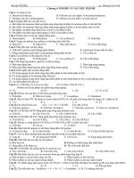 BÀI TẬP DAY HÈ POLIME