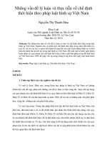 Những vấn đề lý luận và thực tiễn về chế định thời hiệu theo pháp luật hình sự Việt Nam