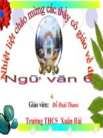 TIẾT 19:TỪ NHIỀU NGHĨA.......