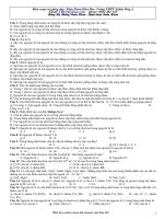 Bảng HTTH có đáp án chuẩn