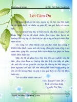 Đánh giá hiệu quả sử dụng vốn tại công ty TNHH bia huế