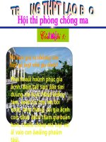 Kien thuc thi phòng chống ma túy