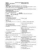 Kế hoạch bài dạy tuần 6( Dành cho ngày 2 buổi)