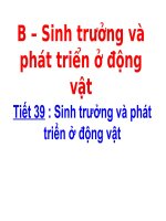 Bai 37: Sinh trưởng và phát triển ở động vật