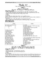 tuần 11 lơp ghép 2+3