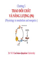 TRAO ĐỔI CHẤT VÀ NANG LUONG P6