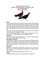 thông tin về gà lôi lam