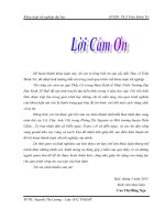 Đánh giá tác động môi trường cảng cá lạch vạn bằng phương pháp ma trận 