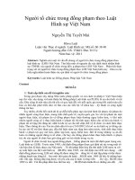 Người tổ chức trong cộng đồng pháp luật hình sự Việt Nam