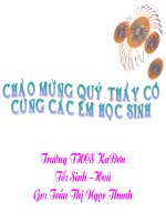 TIET 61 DA DANG SINH HOC