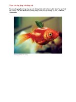 Thực vật cấy ghép với động vật