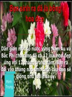 Khi bạn sinh ra đã là bông hoa đẹp