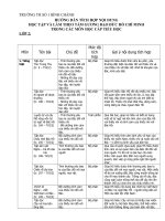 NOI DUNG TICH HOP TTHCM L2