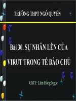 bai 30. Sự nhân lên của virus