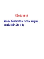 Câu cảm thán
