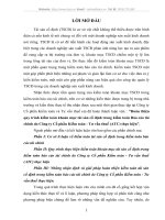 Hoàn thiện quy trình kiểm toán khoản mục tài sản cố định trong kiểm toán Báo cáo tài chính