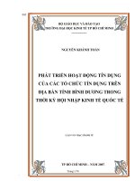 529 Phát triển hoạt động tín dụng của các tổ chức tín dụng trên địa bàn tỉnh Bình Dương trong thời kỳ hội nhập kinh tế Quốc tế