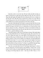 Thực trạng và giải pháp nhằm hạn chế tình trạng nợ đọng BHXH của các doanh nghiệp tại Hải Phòng giai đoạn 2008-2010