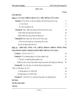 Sinh địa tầng trong các thành tạo trầm tích Oligoxen trên và Mioxen dưới lô 15-2 thuộc buồn trũng Cửu Long