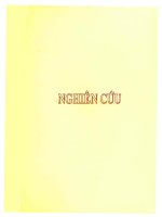 P2 nghiên cứu  sự o-metil hóa một số phenol sử dụng Carbonat Dimetil