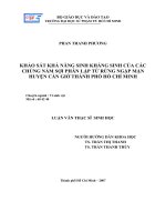 KHẢO SÁT KHẢ NĂNG SINH KHÁNG SINH CỦA CÁC CHỦNG NẤM SỢI PHÂN LẬP TỪ RỪNG NGẬP MẶN HUYỆN CẦN GIỜ THÀNH PHỐ HỒ CHÍ MINH